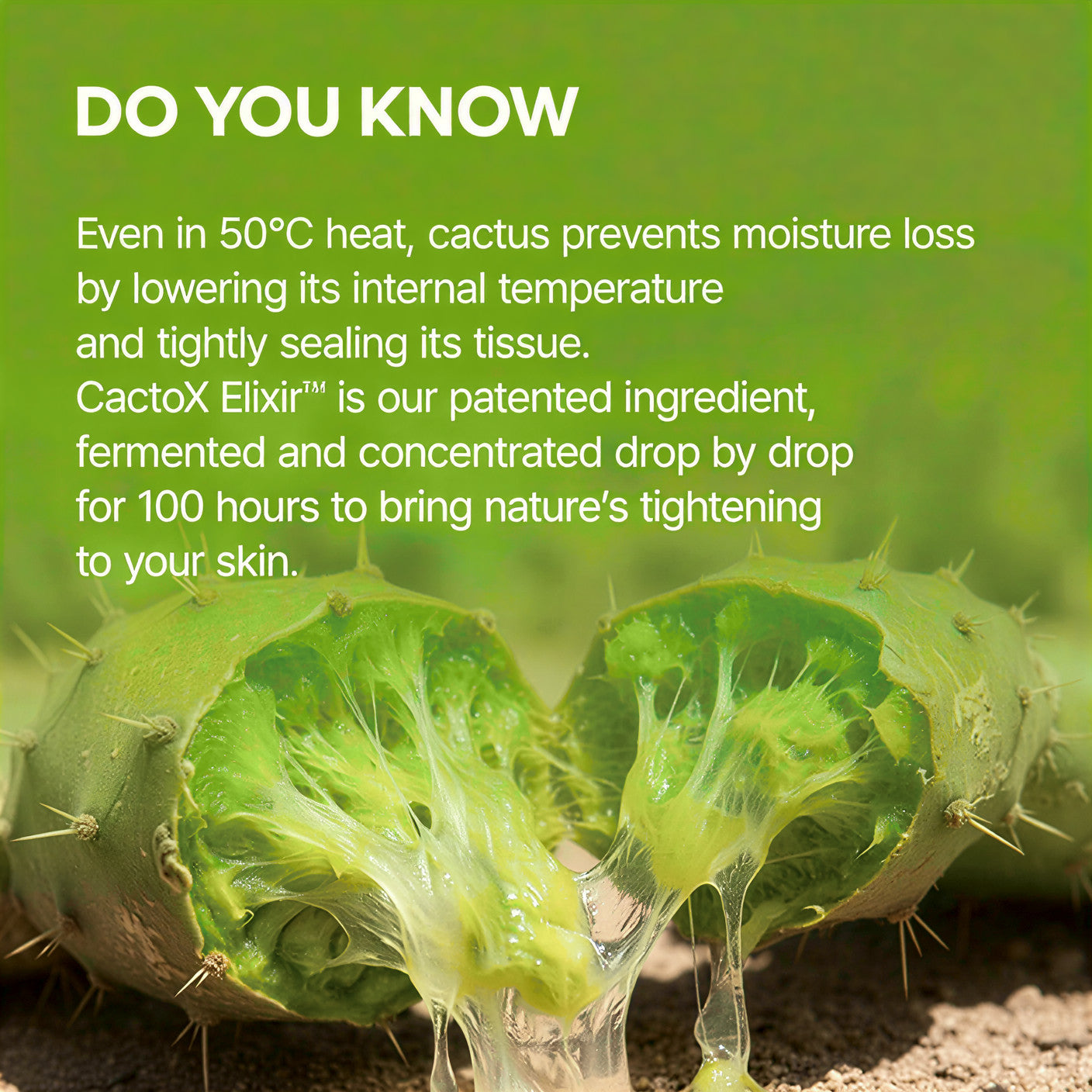 Cactox V-Lifting Mewing Band (4x Masks Per Pack)